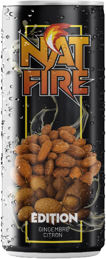 citron-gingembre-home